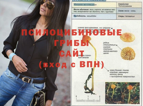 амфетамин Сатка