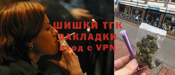 шишки Суоярви