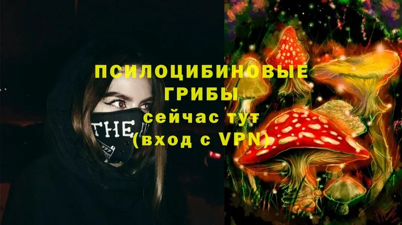 Галлюциногенные грибы MAGIC MUSHROOMS  omg сайт  Бирюч 